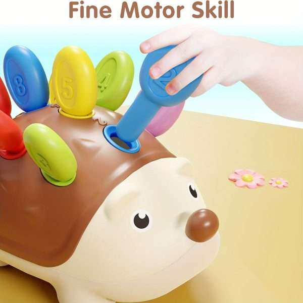 Montessori Sensory Hedgehog Toys For Baby.Toddler Fine Motor Skills Learning Sensory Toys, Early Education Sorting Skills, Fine Motor Skills Learning, Outdoor Birthday Gift