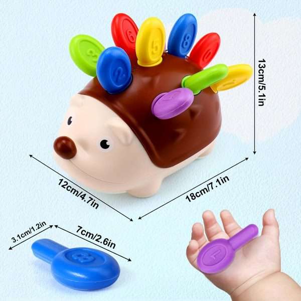 Montessori Sensory Hedgehog Toys For Baby.Toddler Fine Motor Skills Learning Sensory Toys, Early Education Sorting Skills, Fine Motor Skills Learning, Outdoor Birthday Gift
