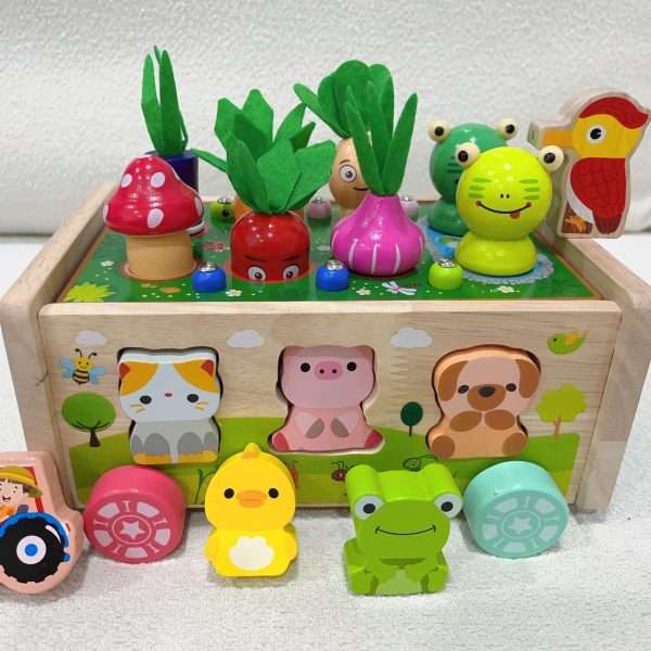 ff1f0d5b5281ec027125ed29adea4a25.jpg Toddlers Montessori Wooden Educational Toys, Shape Sorting Toys Gifts, Wood Learning Fine Motor Skills Game, For Baby Boys Girls Age 1 2 3 4 Year Old, For Kids 1-4 Christmas And Halloween Gift